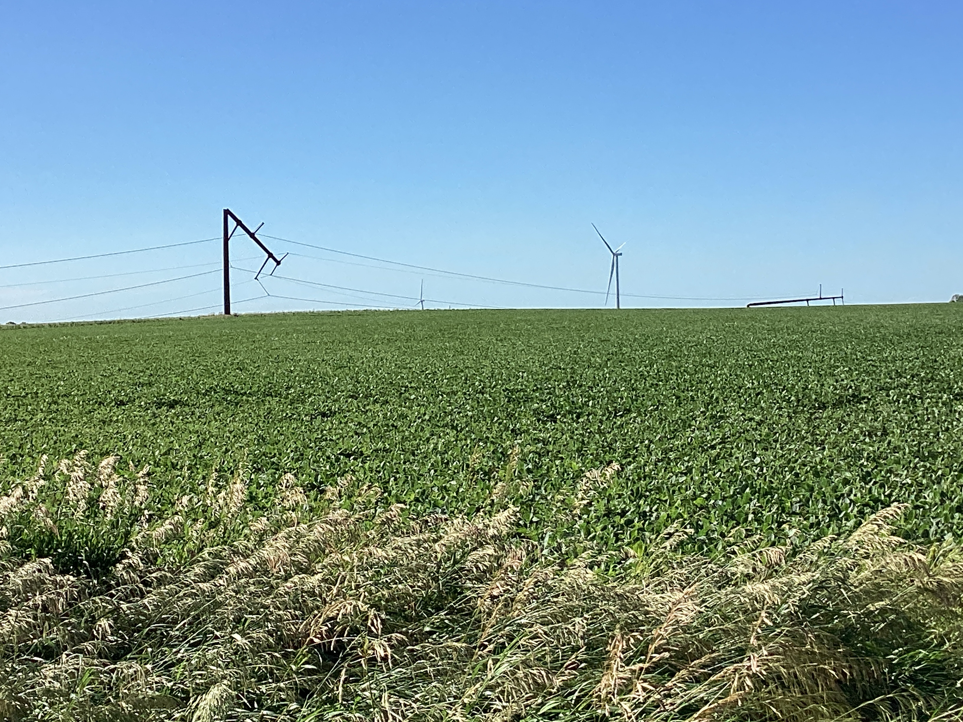 Damaged electrical towers northeast of Lexington