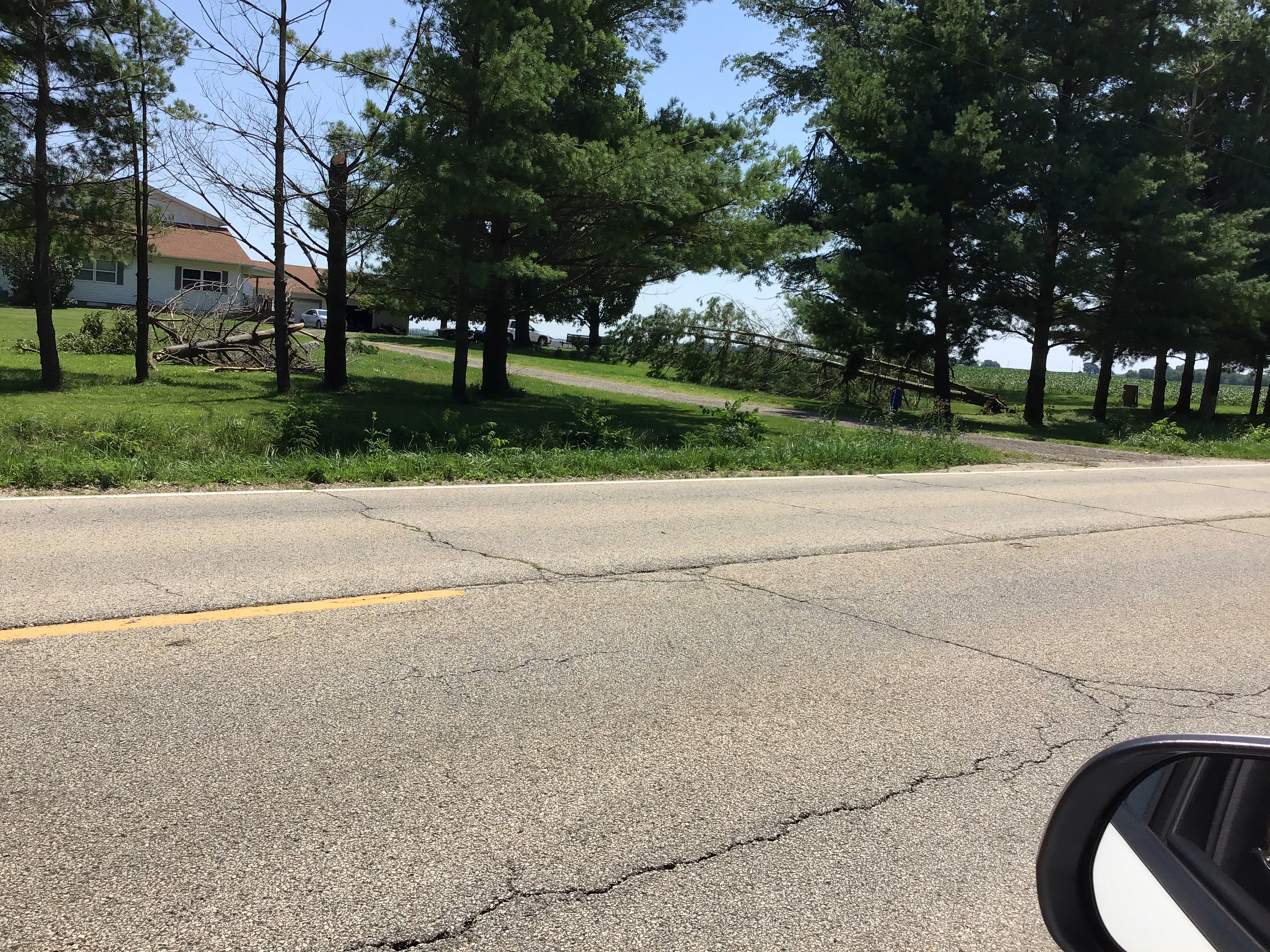 Trees uprooted and snapped northwest of Alta