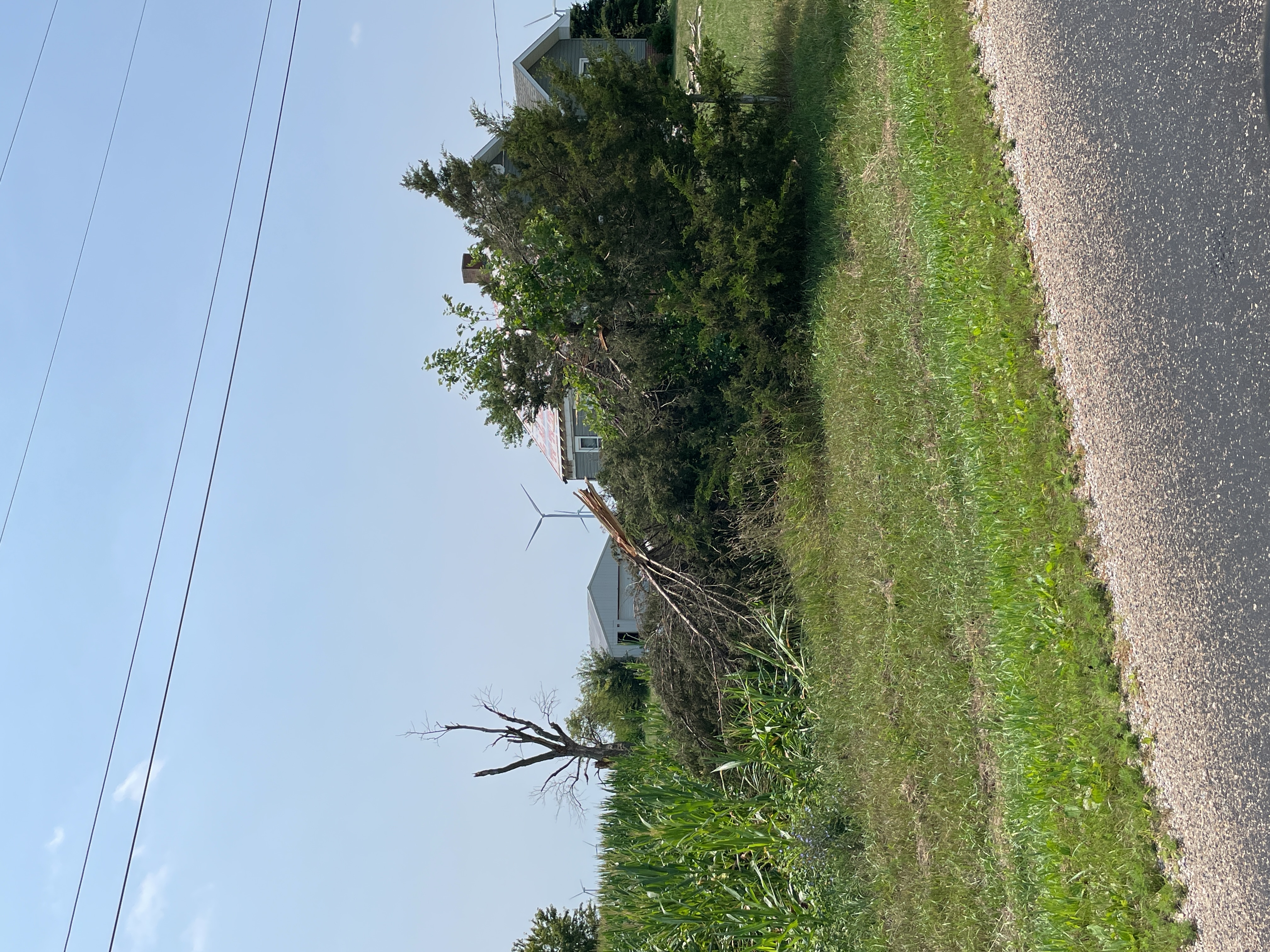 Tree and roof damage near the Livingston County line