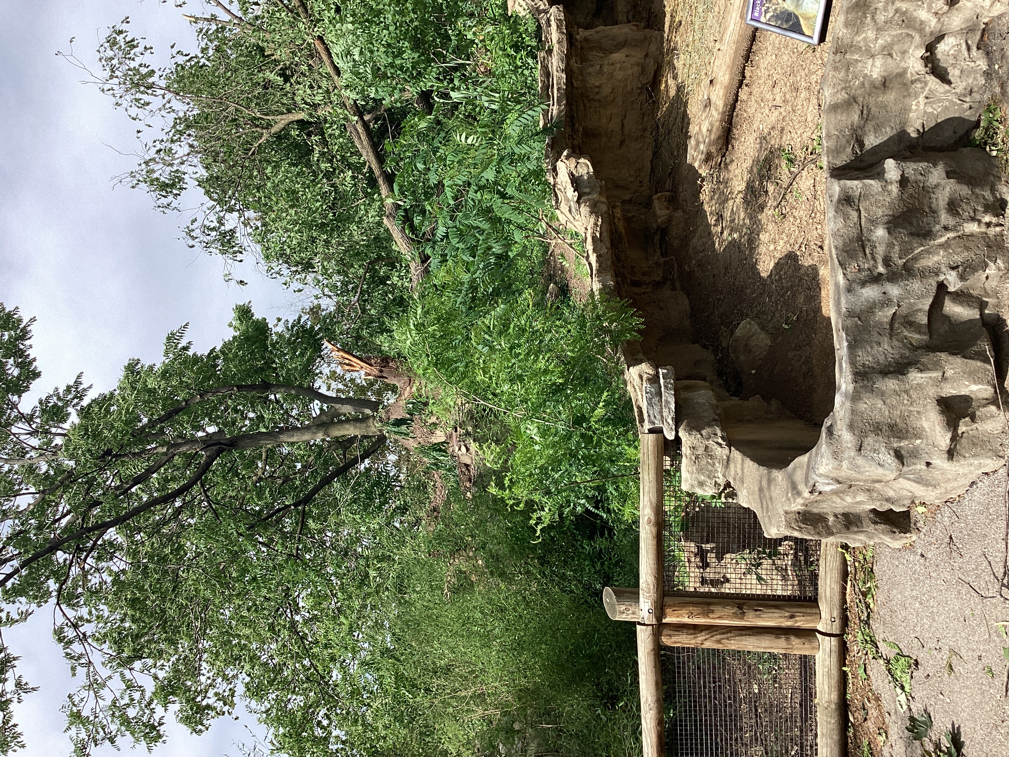 St Louis Zoo
