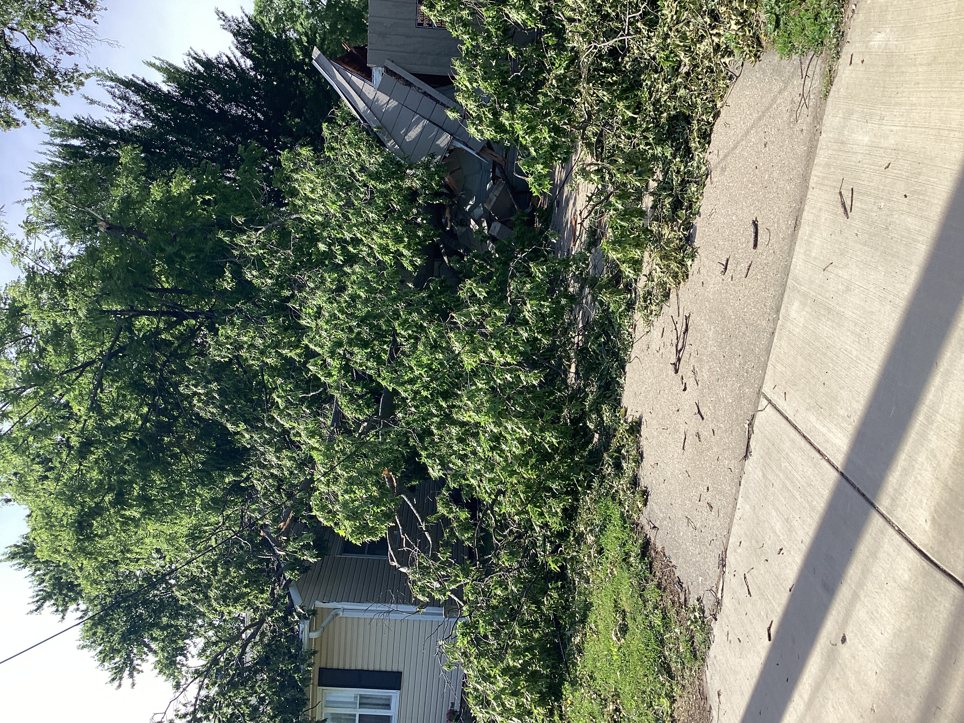 Johnson Rd.